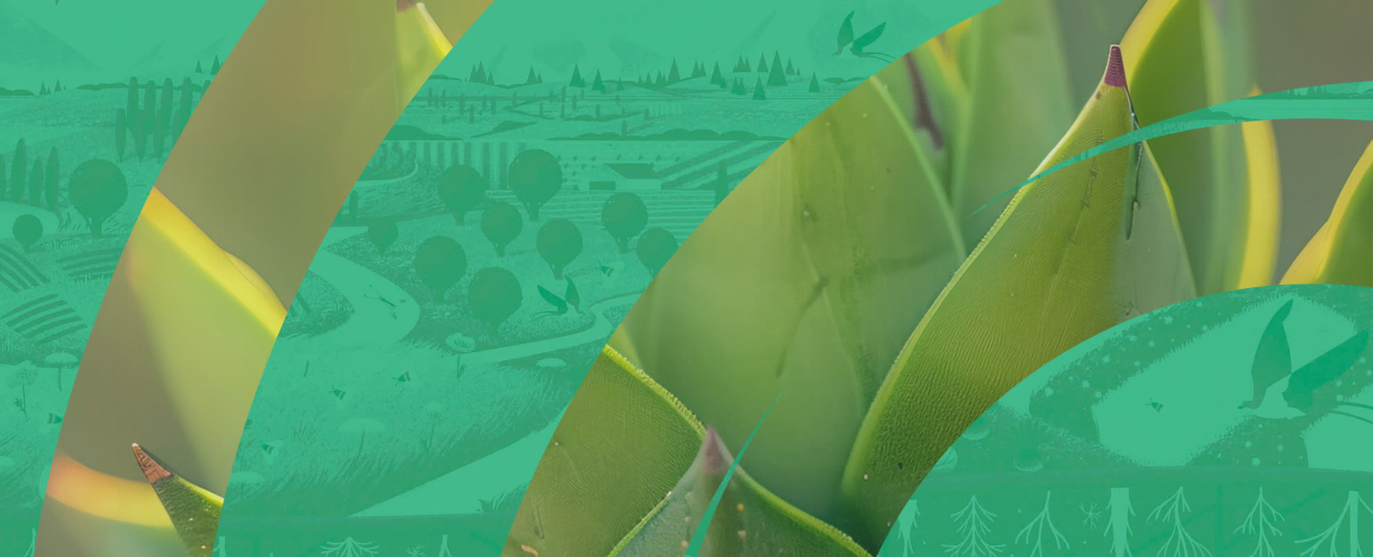 Green abstract background.
