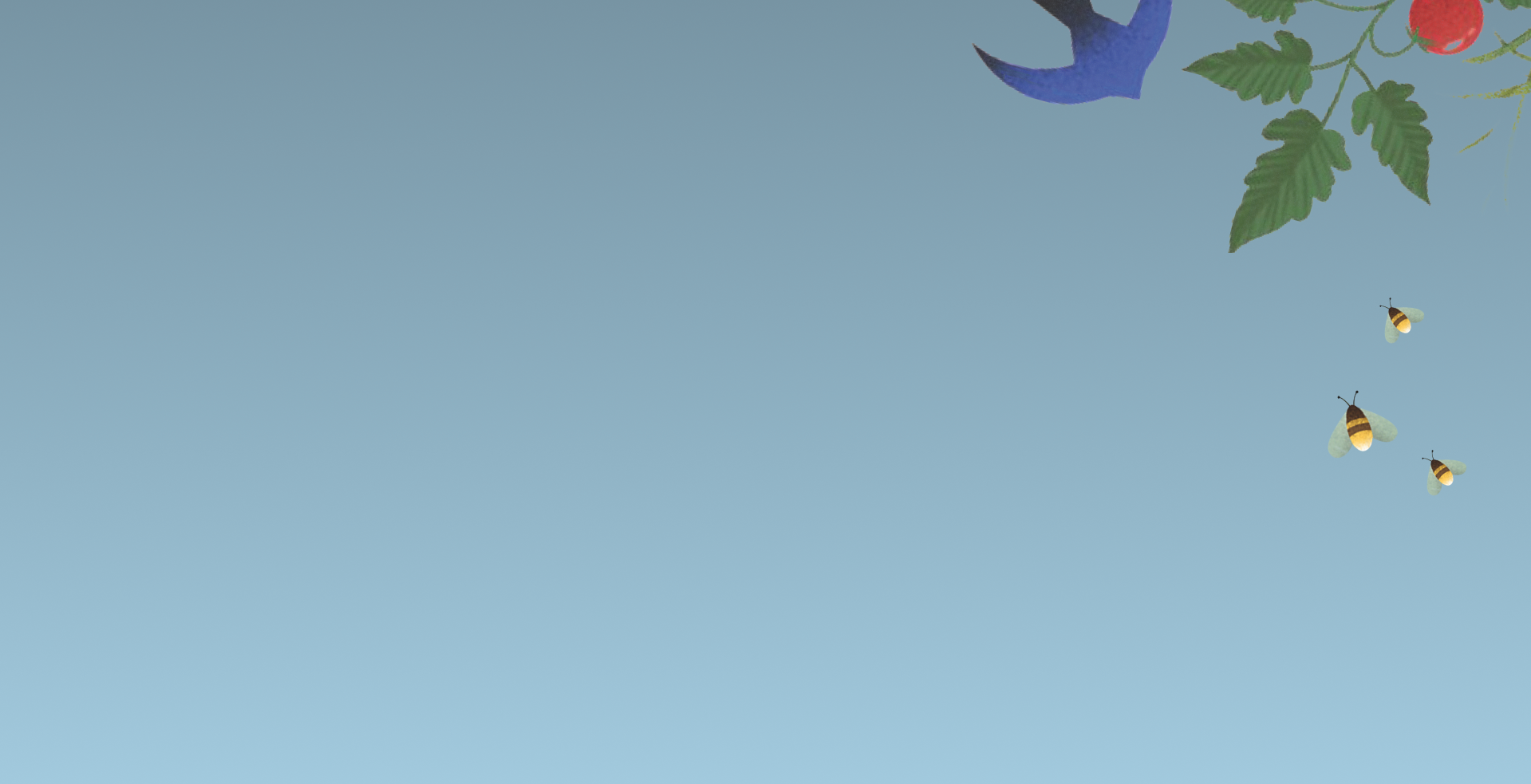 Gradient