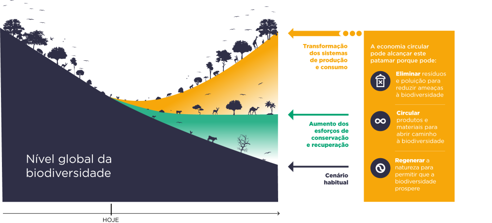 Infographic that demonstrates the future for the level of global biodiversity.