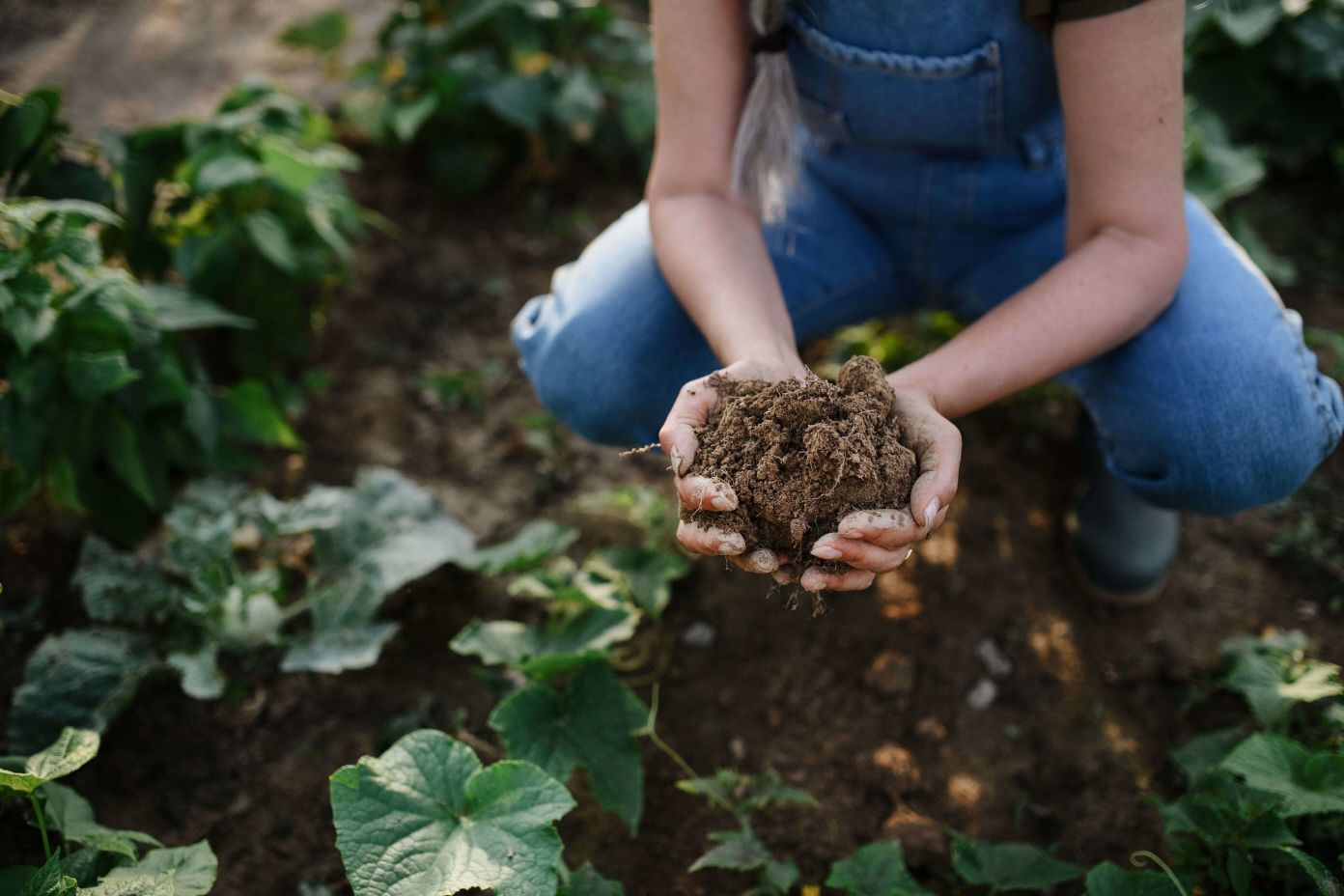 Close up of female famer hands holding soil outdoors at community farm.