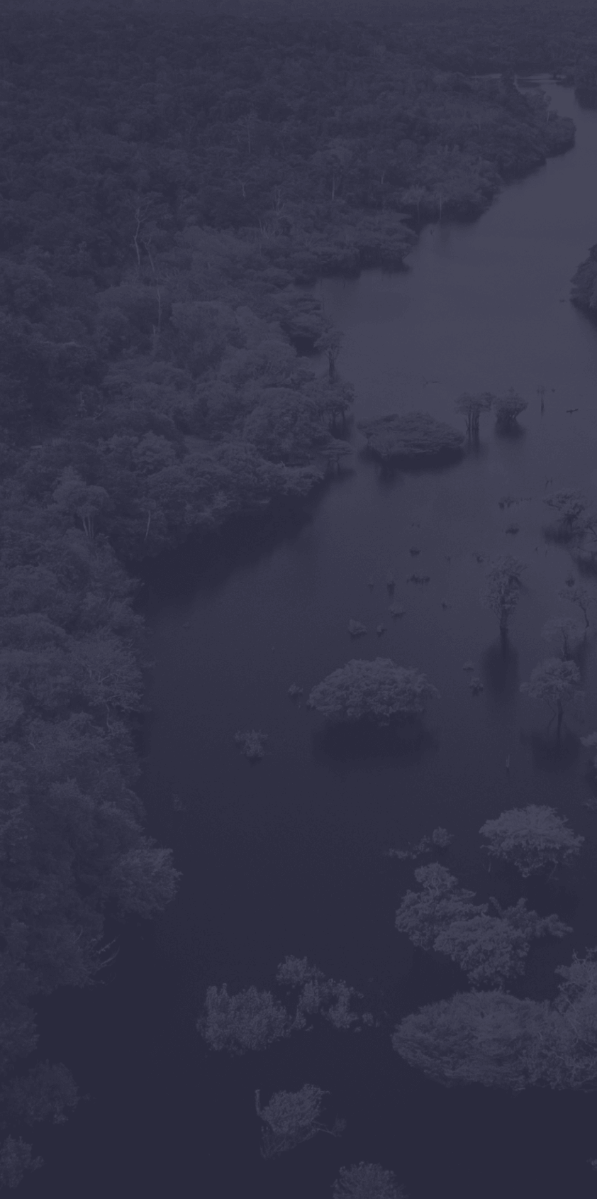 River in middle of rain forest