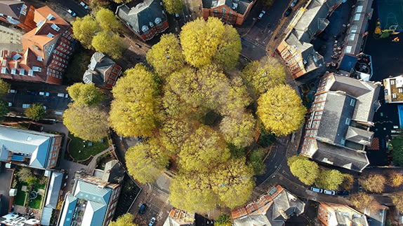 Aerial image of trees and buildings 
