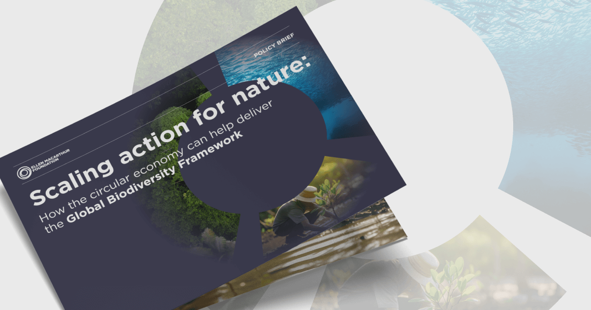 Thumbnail of Scaling action for nature: How the circular economy can help deliver the Global Biodiversity Framework