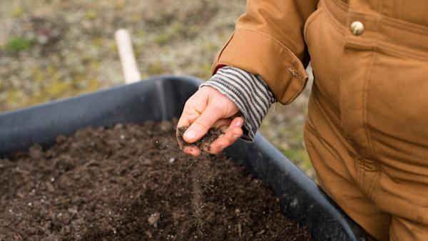 Person holding soil