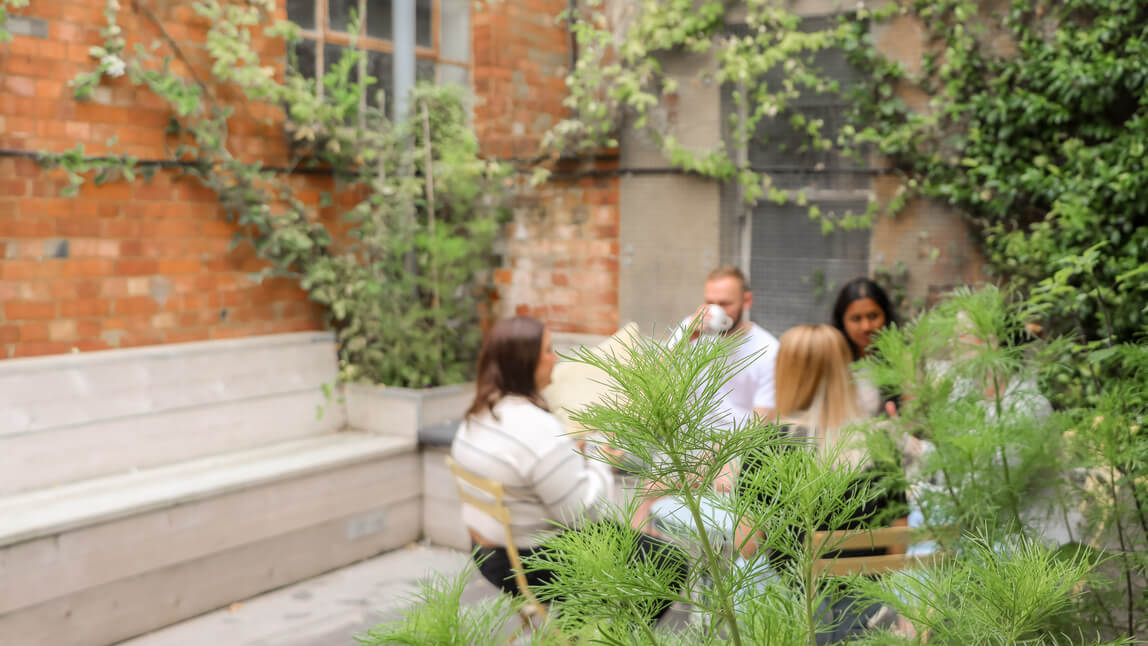 people talking in an office garden