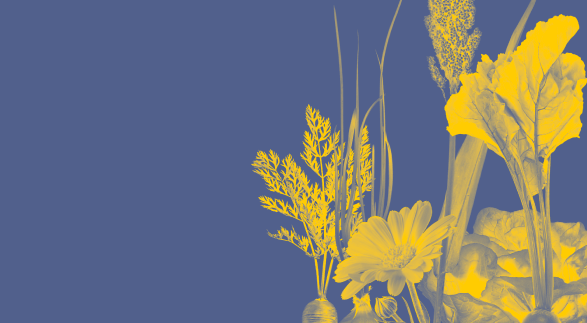 Abstract image of plants