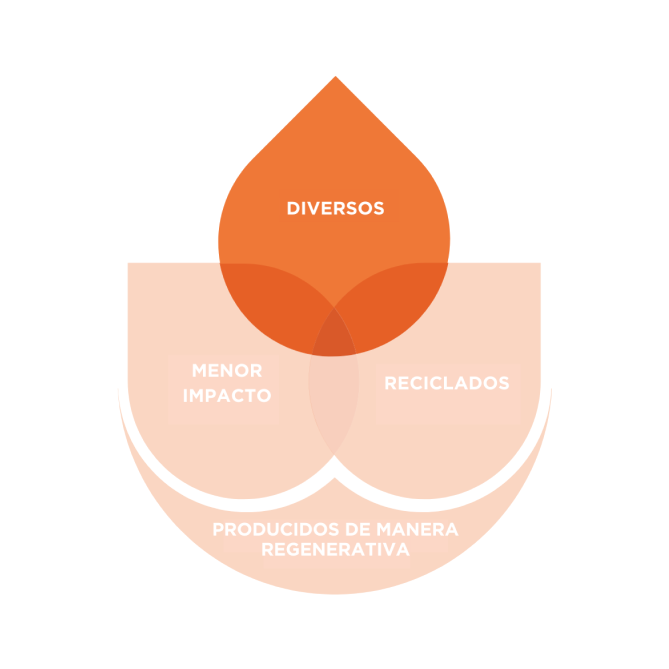 Layered circular diagram in shades of orange and peach, with overlapping semi-transparent shapes forming a stylised flower or lotus design. The central orange circle contains the text 'Diverse' against a gradient background of orange tones.