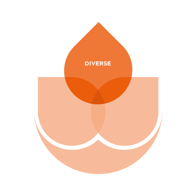 Layered circular diagram in shades of orange and peach, with overlapping semi-transparent shapes forming a stylised flower or lotus design. The central orange circle contains the text 'Diverse' against a gradient background of orange tones.