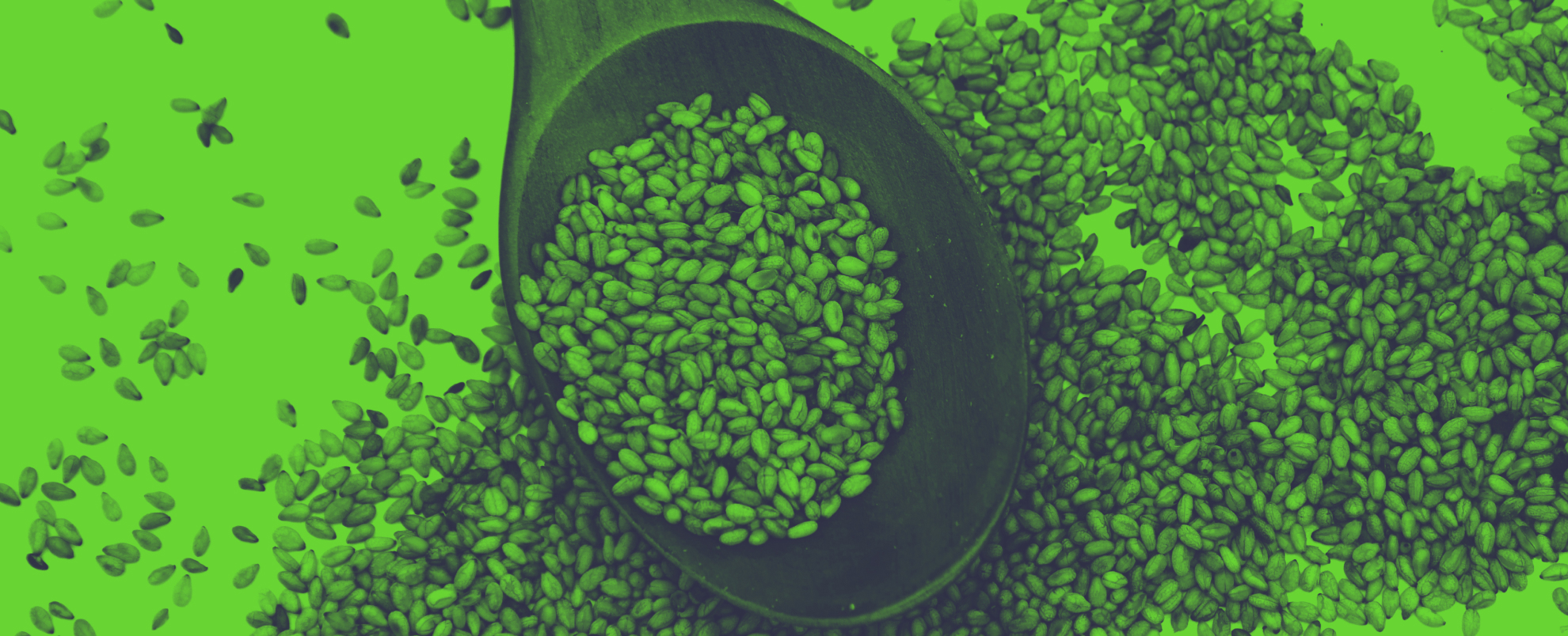 Toasted sesame seed on wood spoon