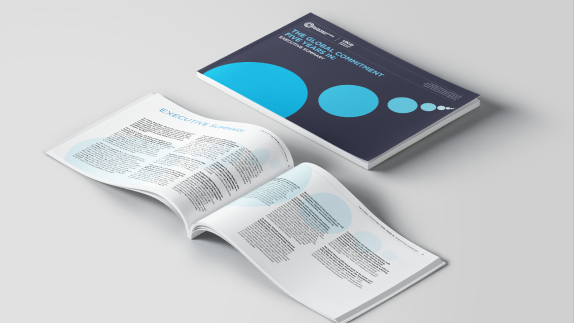 Five years in - Executive summary paper