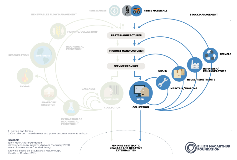 Butterfly Diagram Infographic