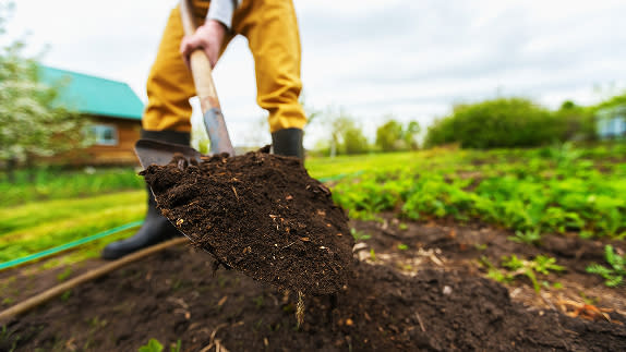 Person with boots digging soil with a spade.