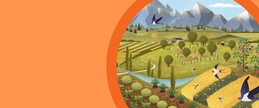 Five actions for companies to make nature-positive food mainstream