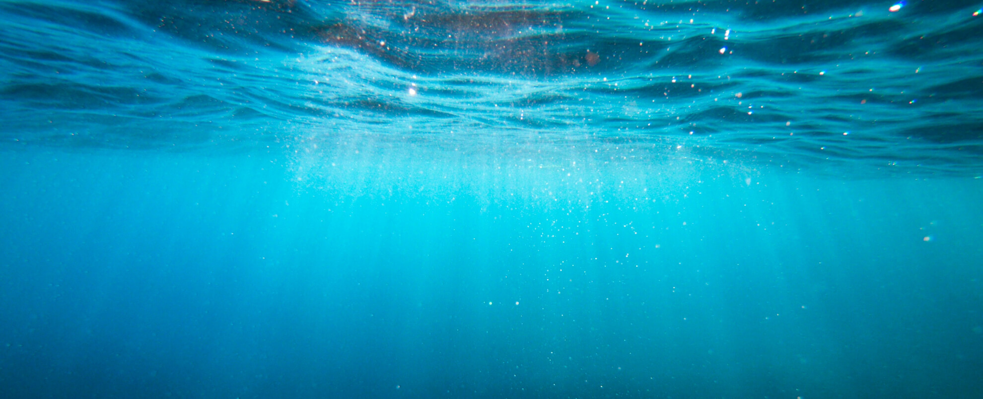 Ocean
