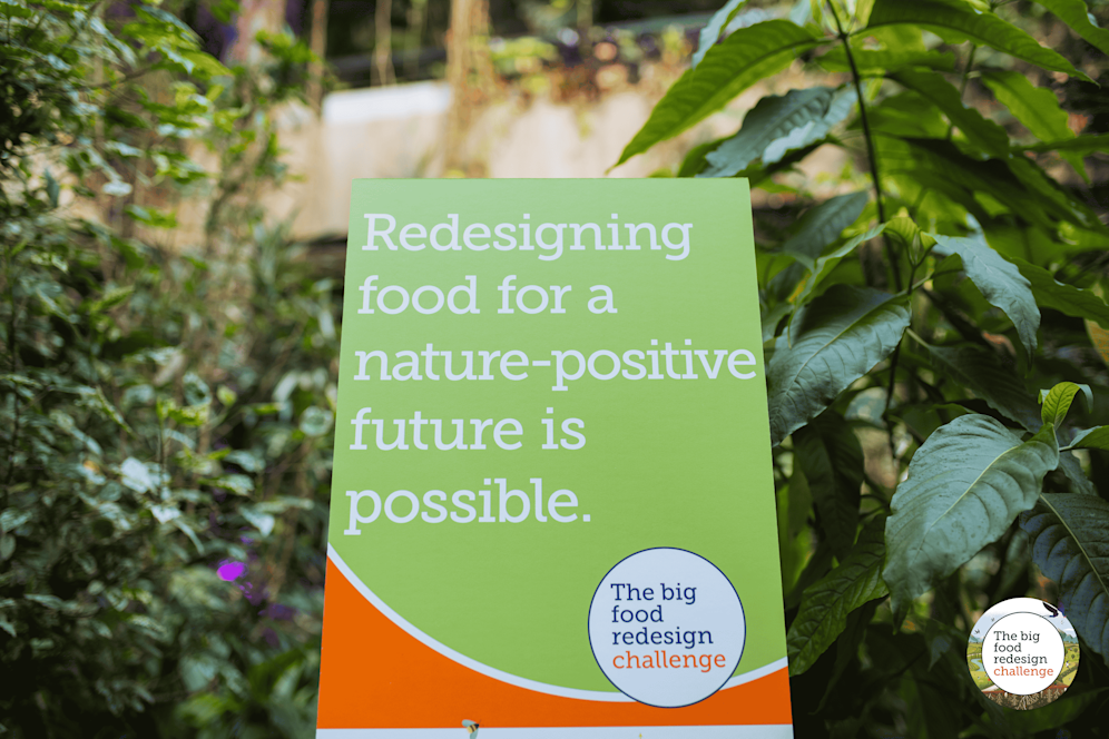 An image of the big food resdesign challenge book in front of some plants.