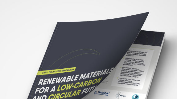 Renewable Materials for a Low Carbon and Circular Future cover