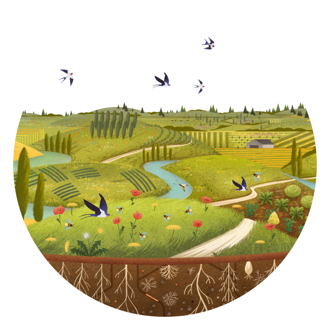 Illustration of fields in circle