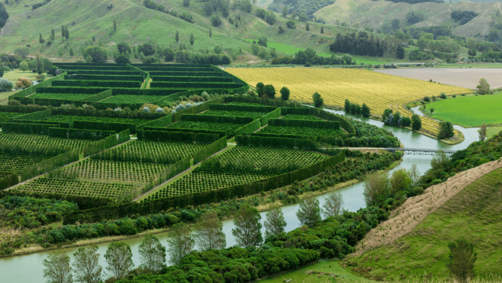 Landscape of fields