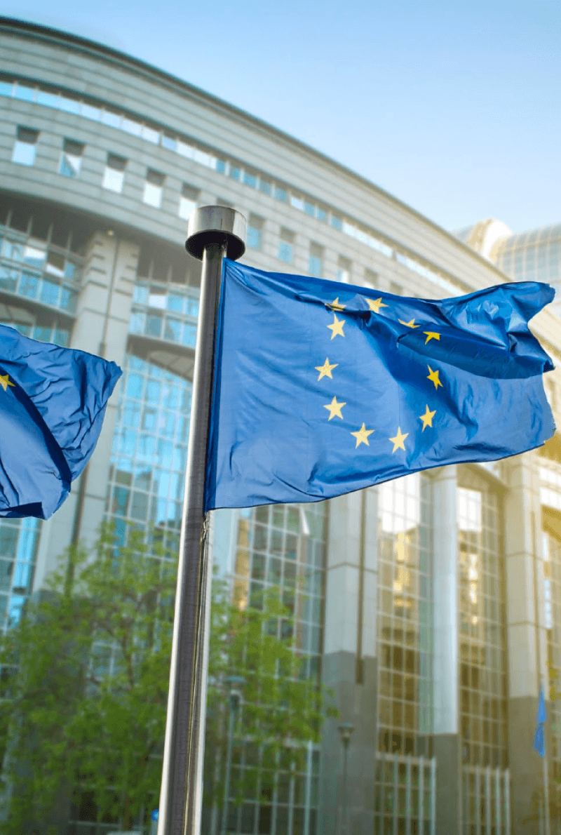 EU flags fluttering in the wind in front of buildings