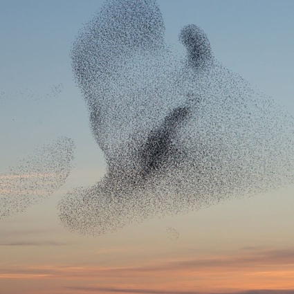 Systems and the circular economy