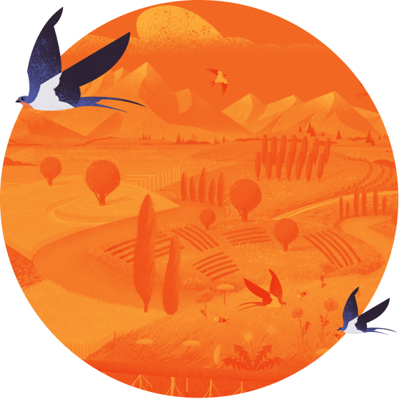 Illustration of two birds in front of a countryside background with an orange filter. 