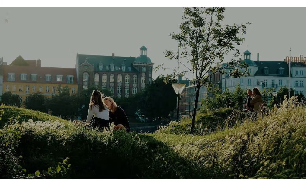 People sat on grass in front of city