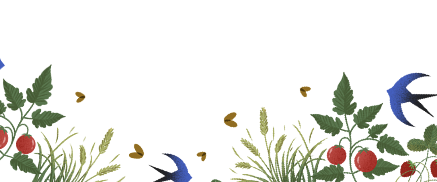 illustration of plants and birds