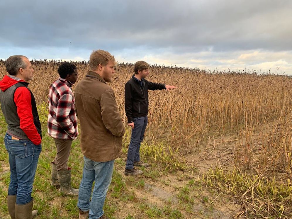 A few people stood in a field looking over crops.