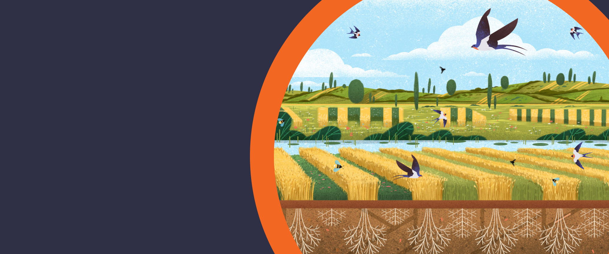 illustration of fields, soil, sky and birds