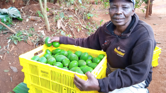 Man holding food produce