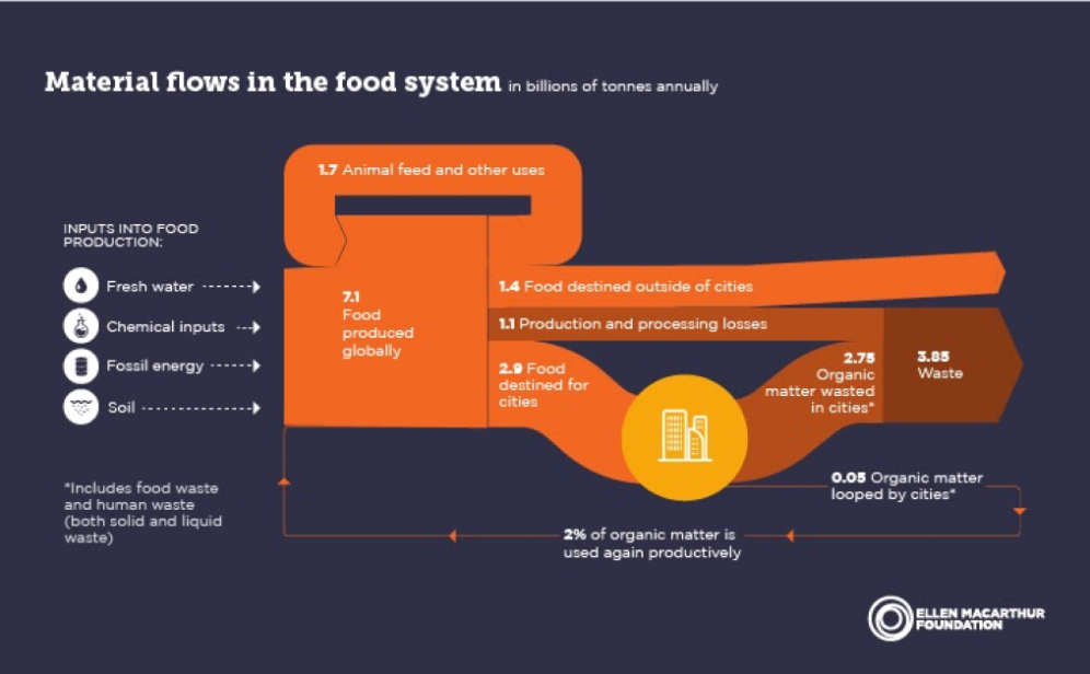 Infographic, which shows material flows in the food system.