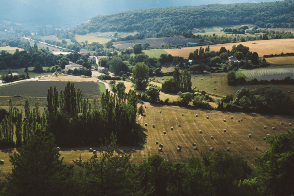 Serene countryside