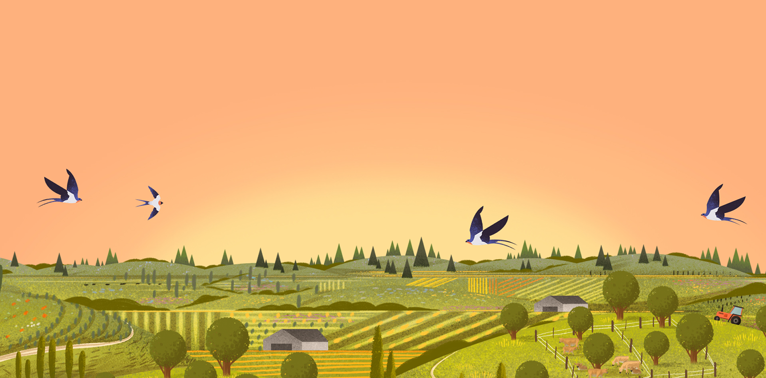 Illustration of fields with birds flying, on top of a sunset background