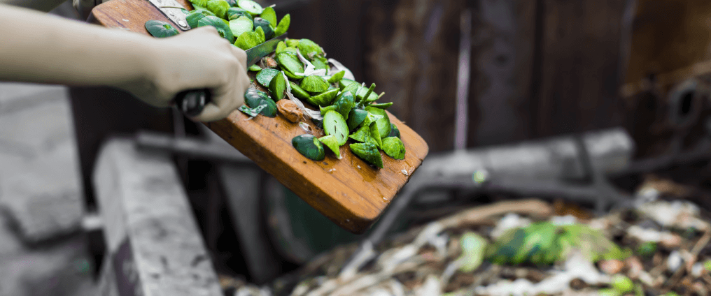 Person cutting vegetables on chopping board