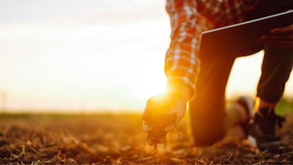 person picking up soil