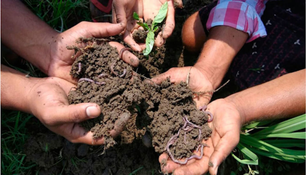 Group of people holding soil