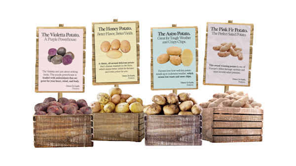 potatoes in wooden crates