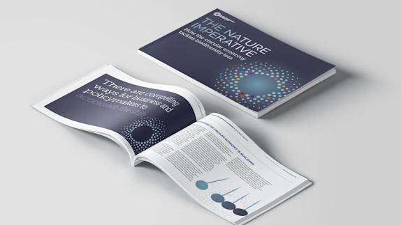 Publications | Ellen MacArthur Foundation
