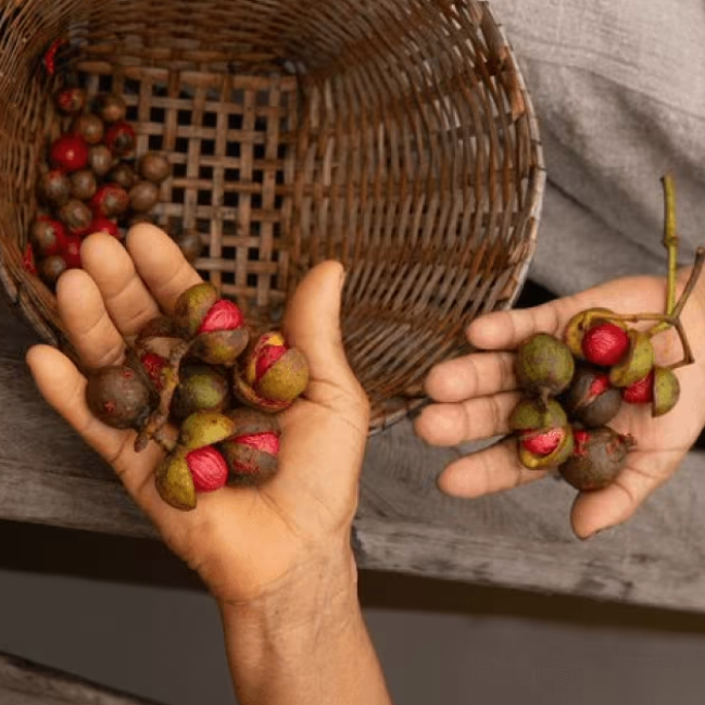 Case study being displayed on a laptop