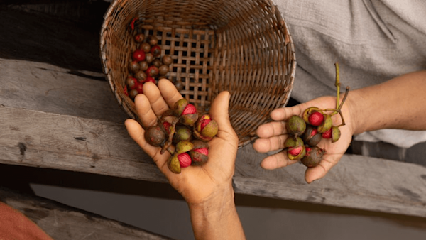 People holding food with wicker basket