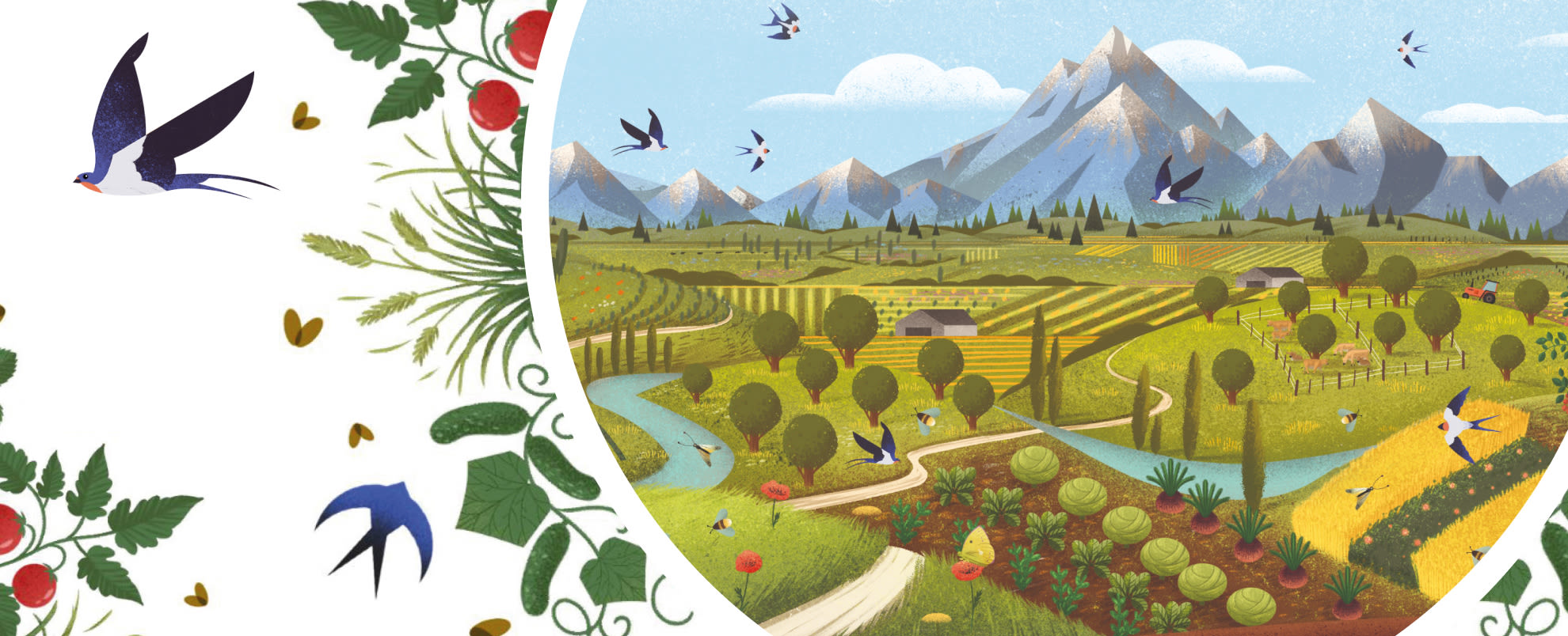 Illustration of rolling farmland