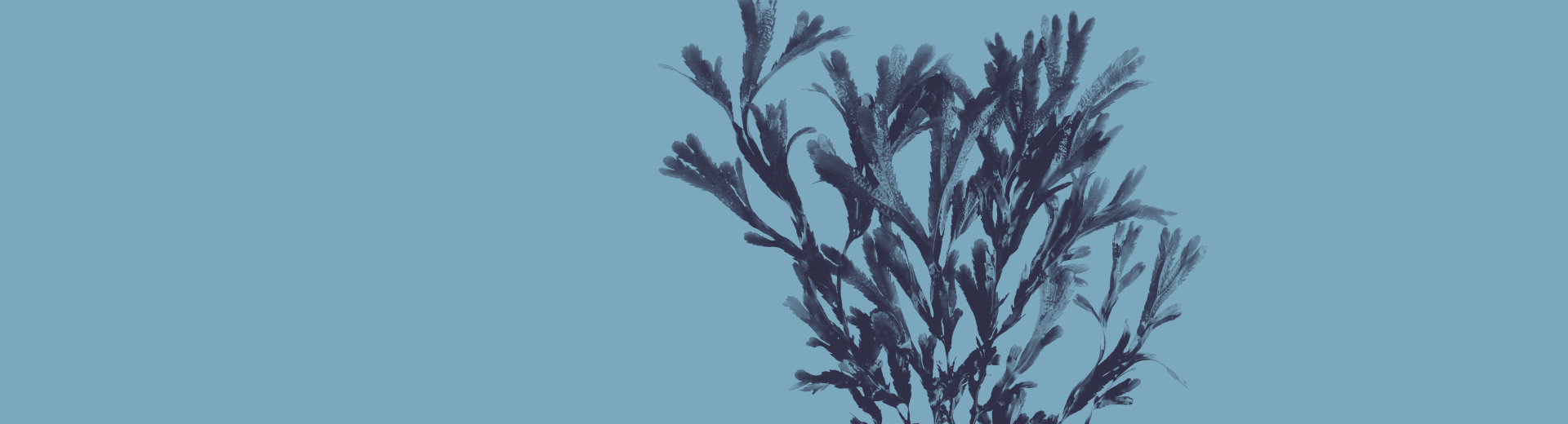 Ejemplos de economía circular