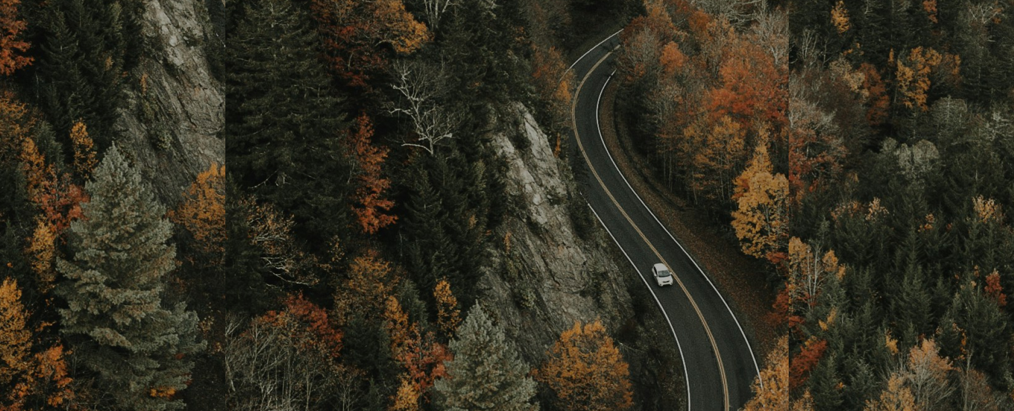 Birds eye image of thick forrest, with a road winding through the clearing, a lone white car is on the road.