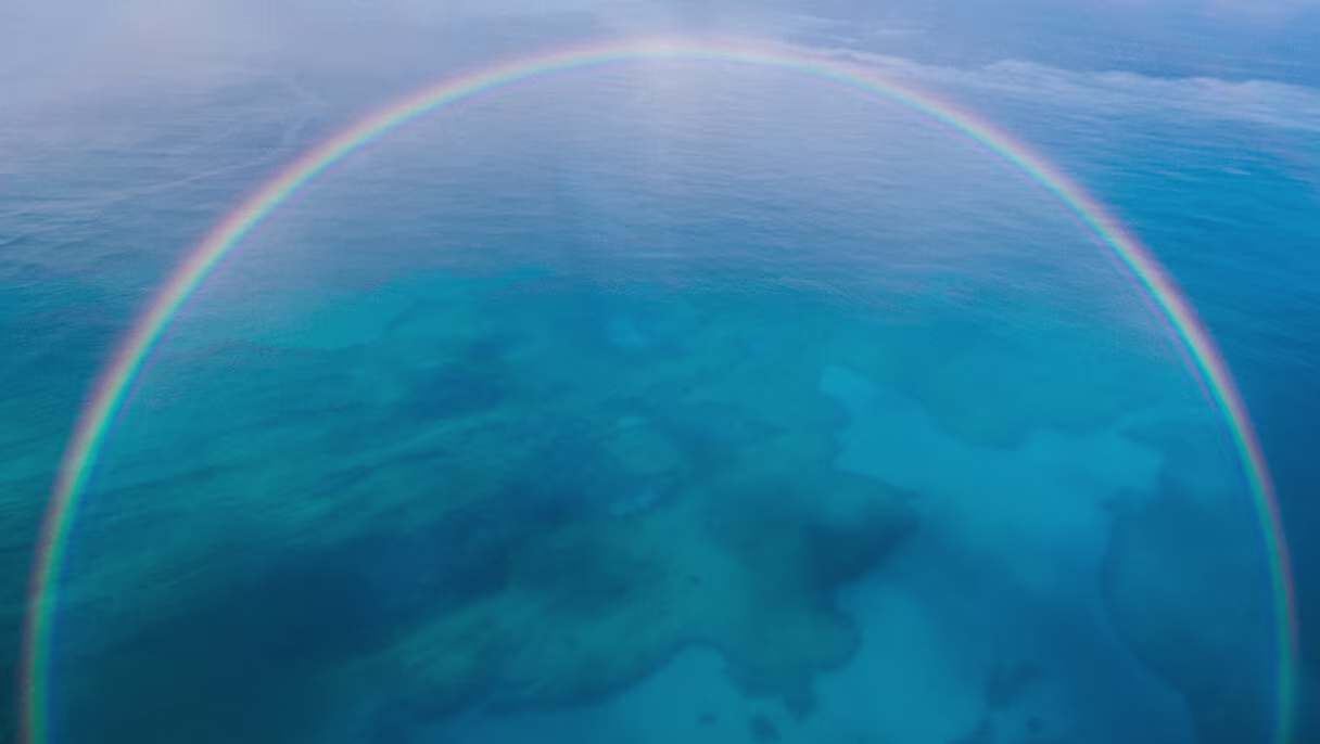 Circular Economy: The Big Idea