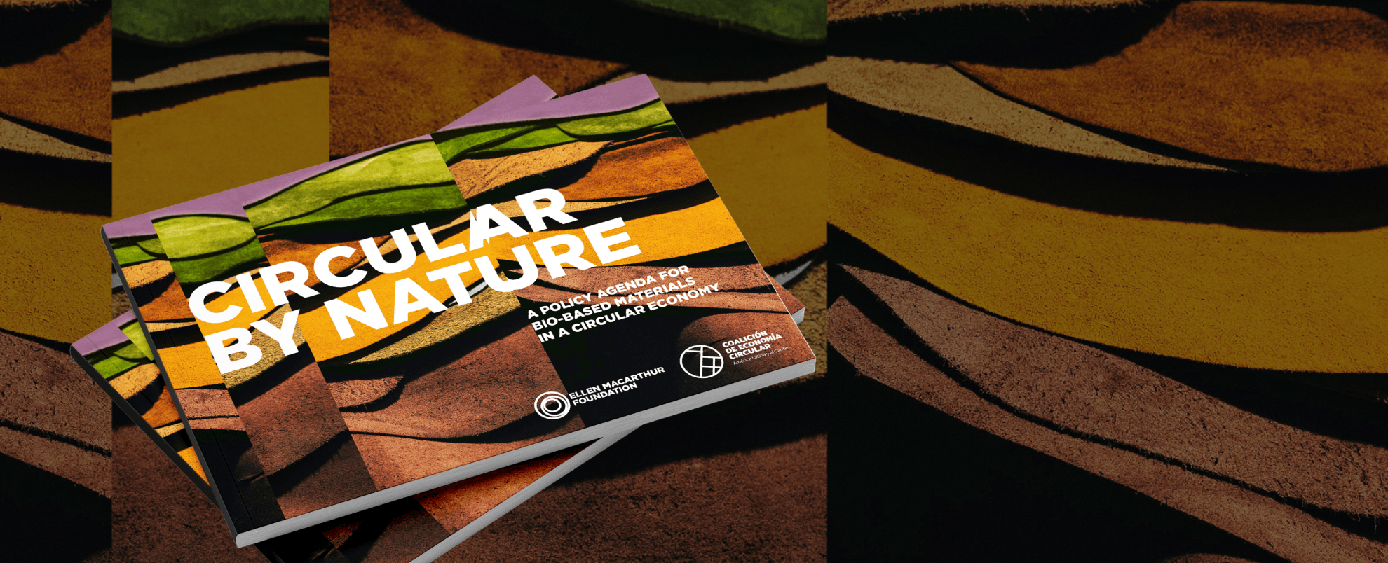 Circular by nature report cover