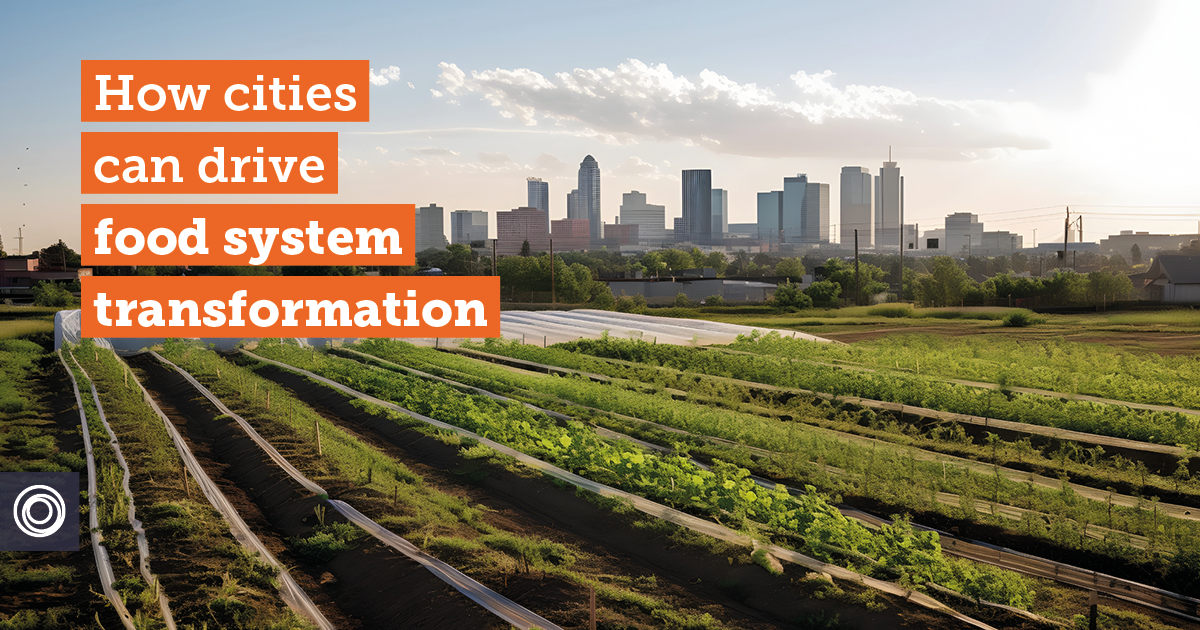 Our city food systems can tackle climate change