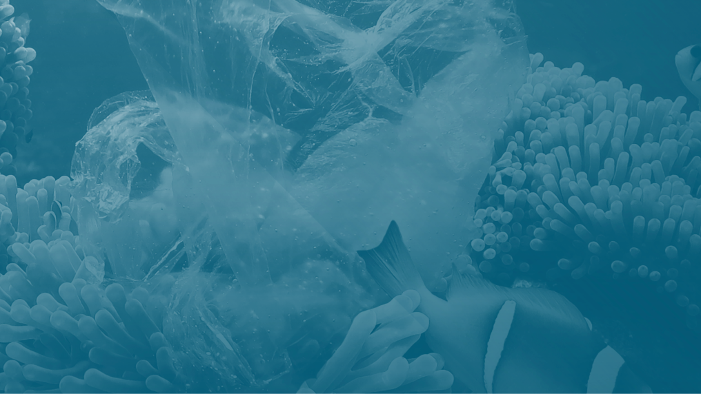 Plastic bag in coral reef