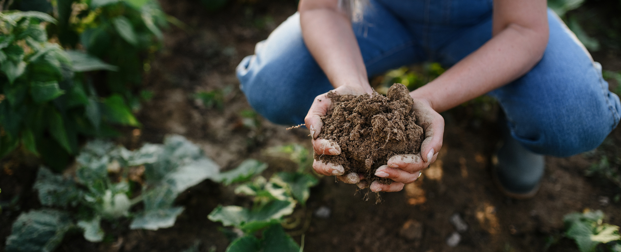 Close up of female famer hands holding soil outdoors at community farm.