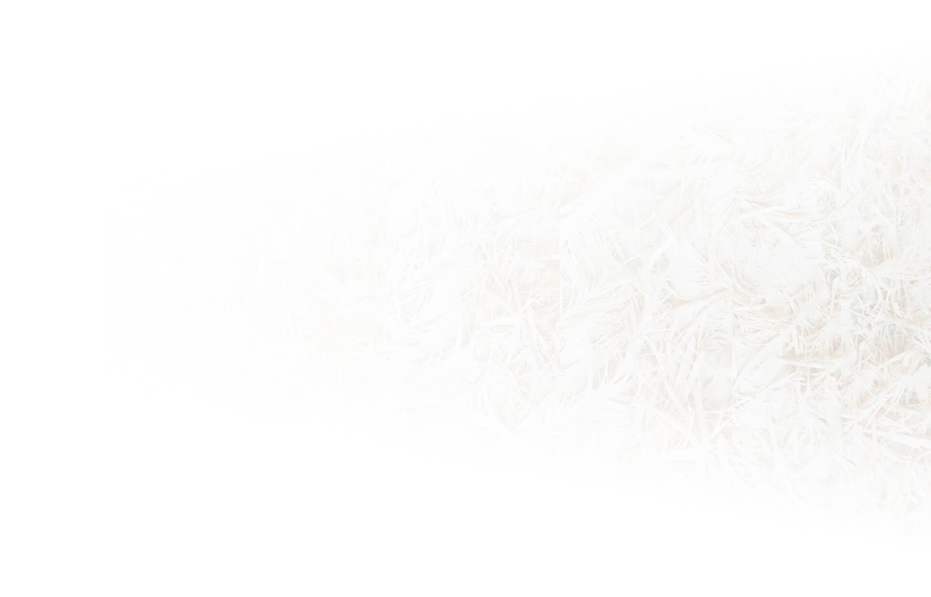 Faint background of chredded paper ready to be remade into a new product