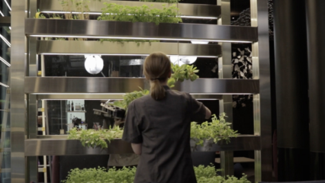 woman stacking shelves of plants